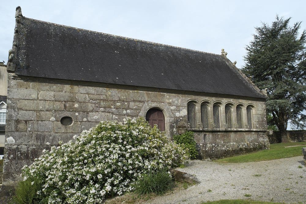 29190 BRASPARTS Wiki GFreihalter 00021.jpg