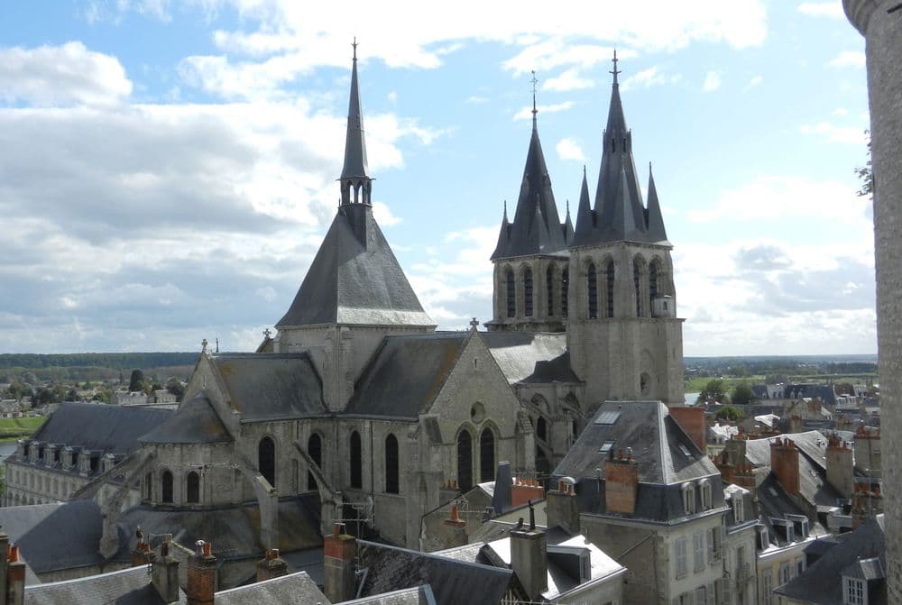 41000 BLOIS Emmanuel Bardet St Nicolas (7).jpg