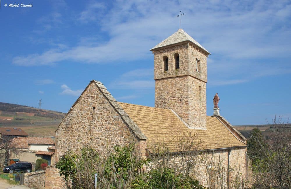 71570 CHASSELAS FLICKr Michel Cirodde00001.jpg